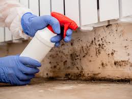 Best Crawl Space Mold Remediation in Whittier, CA